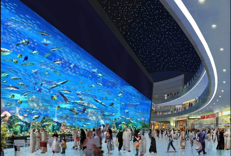 The-dubai-mall-aquarium_tcm87-24123