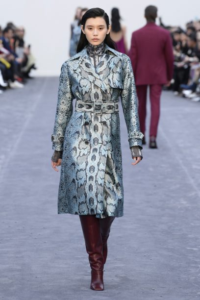 Roberto Cavalli RTW Fall 2019