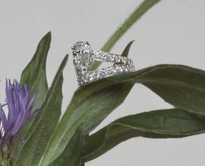 Acr25452889966272-24863