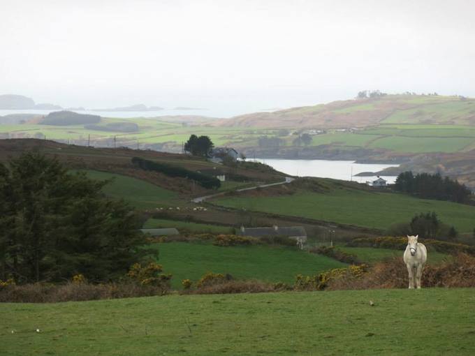 11133650_10155596049960556_4026139705661575655_n