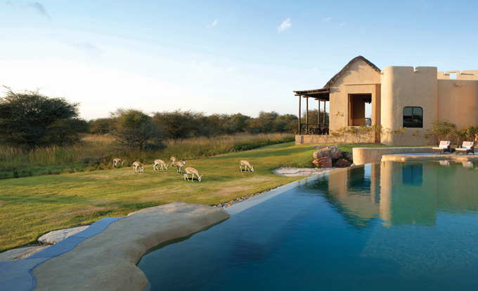 ASAH_H_PL-0002.Daytime-gazelles