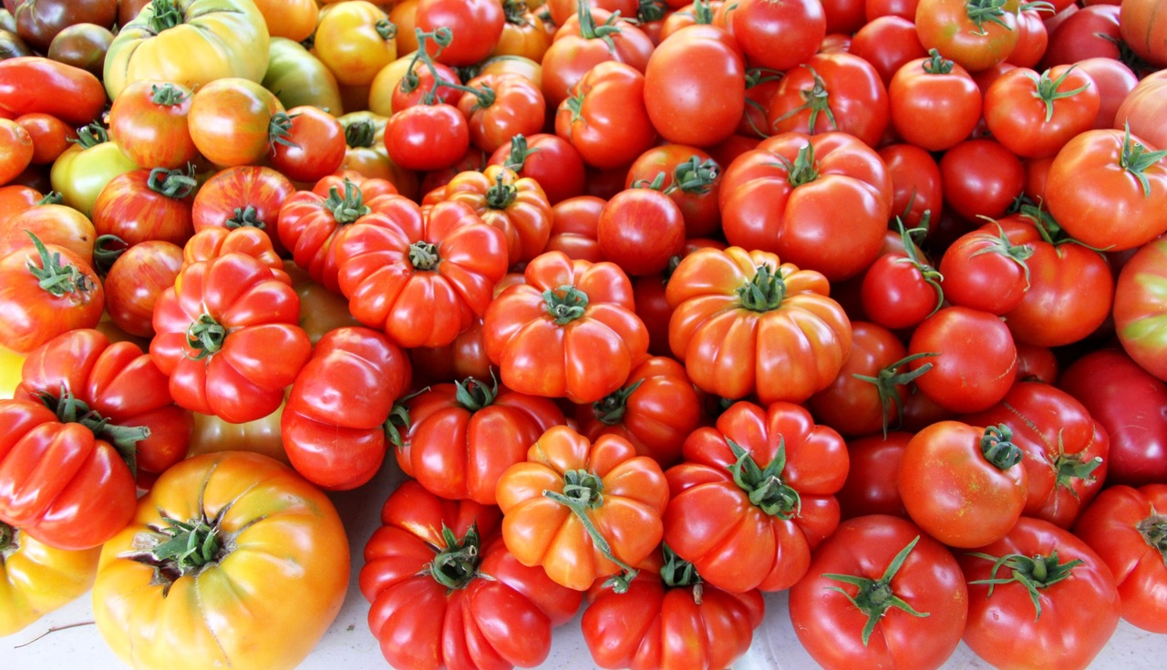 Семена томатов форум. Знаменитые помидоры на рынке Украина.