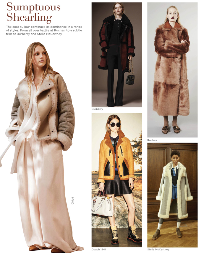 Pre-Fall-4