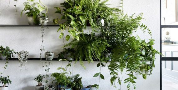 Gucci release first virtual reality film called 'Soul Scene' inspired by Pre-Fall 17 collection