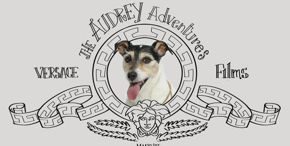 versace audrey chinese new year