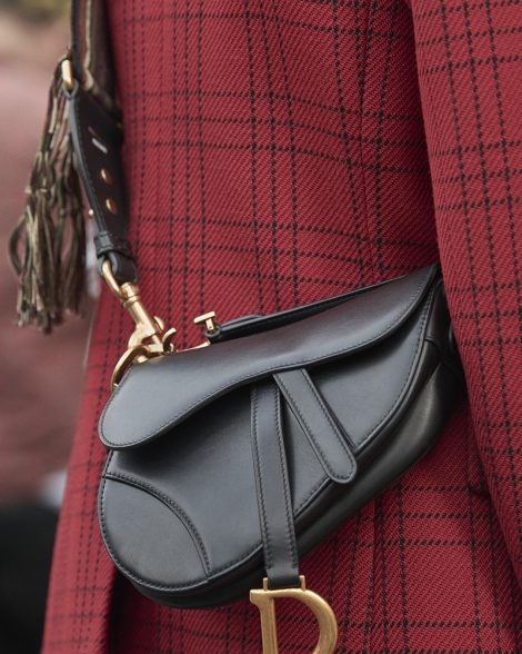 Dior Saddle Bag is Set to be the Next It-Accessory - A&E Magazine