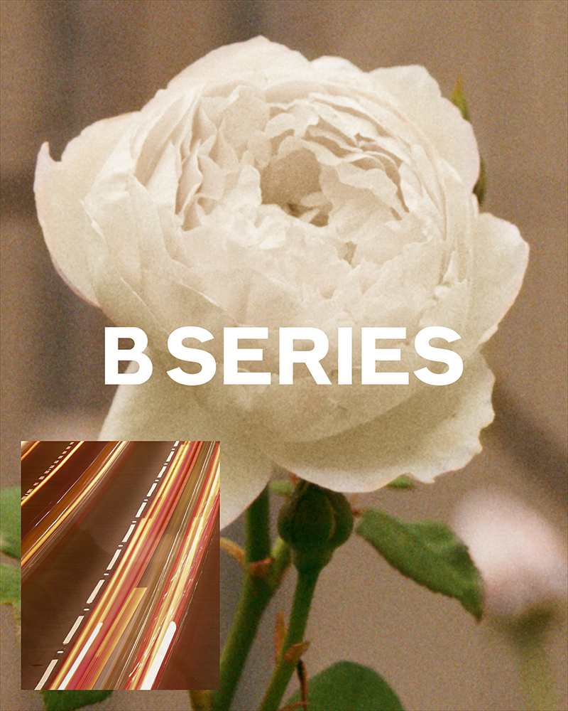 the b series burberry