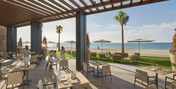 The Bay has a short but sweet vegan menu worth checking out