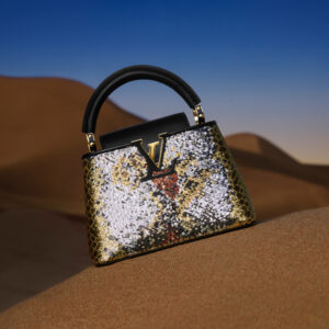 Louis Vuitton Capucines Bag Sequins BB at 1stDibs  lv glitter bag, louis  vuitton glitter bag, glitter louis vuitton bag
