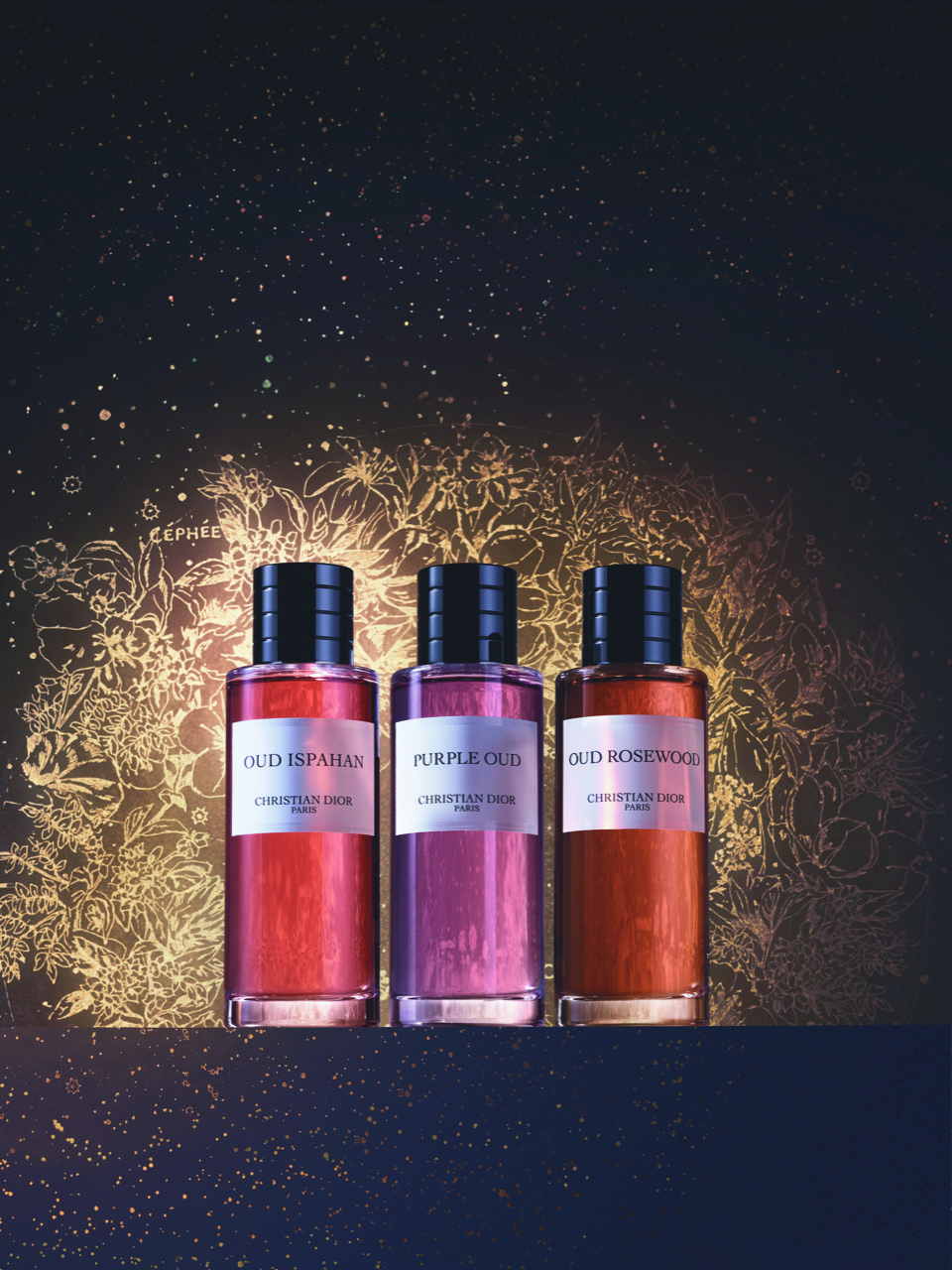 Christian Dior Oud Ispahan Eau De Perfume For Unisex 250ml  Branded  Fragrance India