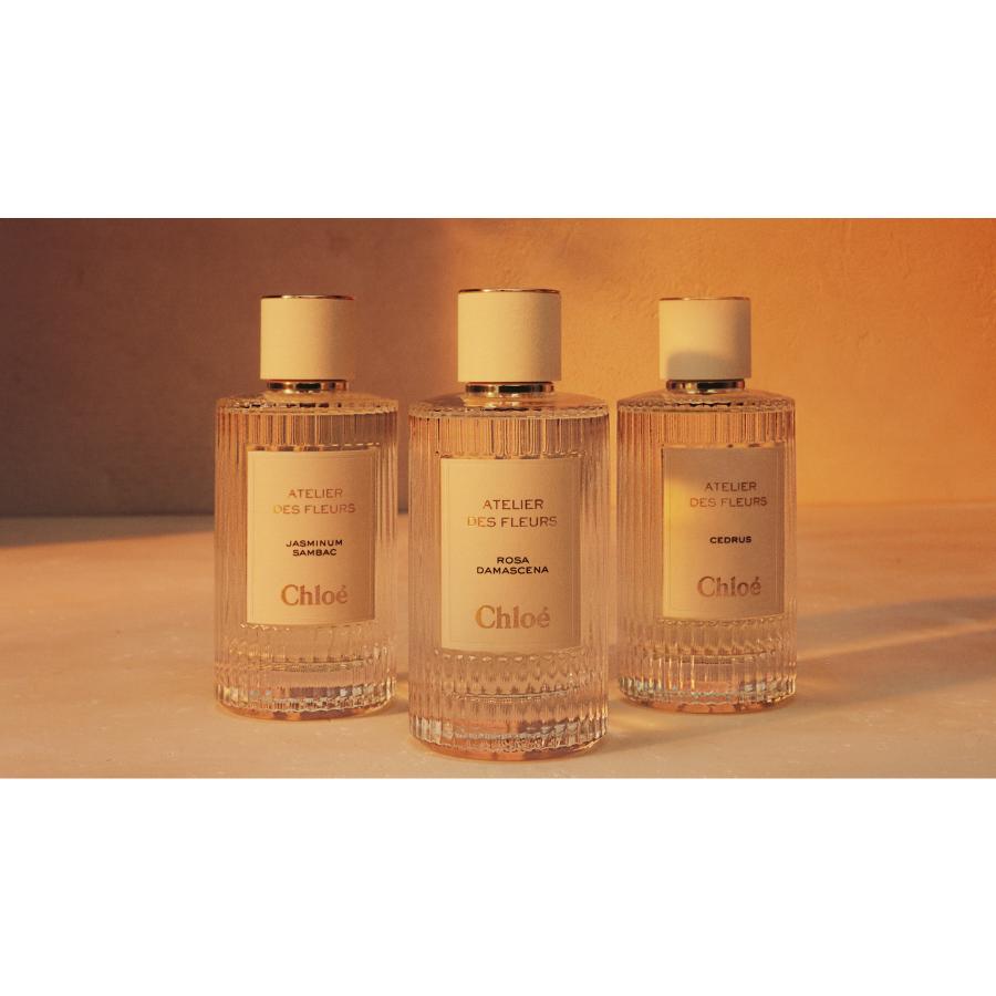 Chloé Atelier des Fleurs Chloé Atelier Des Fleurs Chêne Eau De Parfum | Chloé US